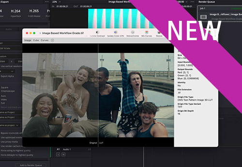 Image Based LUT Workflow in Resolve